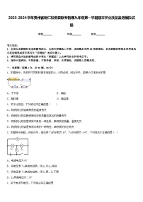 2023-2024学年贵州省铜仁松桃县联考物理九年级第一学期期末学业质量监测模拟试题含答案