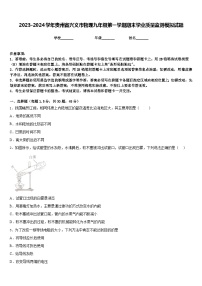 2023-2024学年贵州省兴义市物理九年级第一学期期末学业质量监测模拟试题含答案