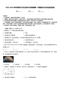 2023-2024学年贵州遵义市正安县九年级物理第一学期期末学业质量监测试题含答案