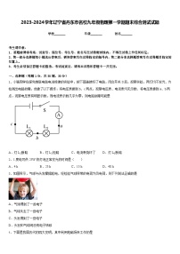 2023-2024学年辽宁省丹东市名校九年级物理第一学期期末综合测试试题含答案