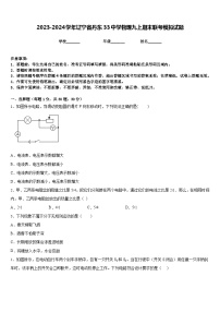 2023-2024学年辽宁省丹东33中学物理九上期末联考模拟试题含答案