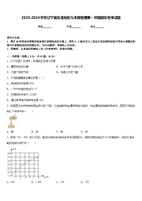 2023-2024学年辽宁省东港地区九年级物理第一学期期末统考试题含答案