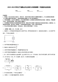 2023-2024学年辽宁省鞍山市台安县九年级物理第一学期期末监测试题含答案