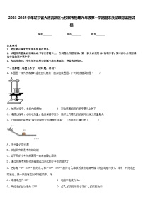 2023-2024学年辽宁省大连高新区七校联考物理九年级第一学期期末质量跟踪监视试题含答案