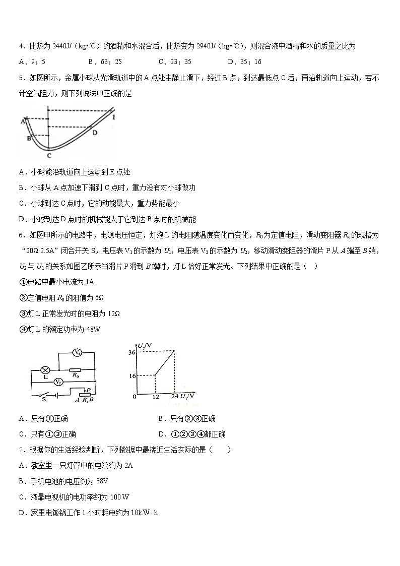 2023-2024学年辽宁省大连高新区七校联考物理九年级第一学期期末质量跟踪监视试题含答案02