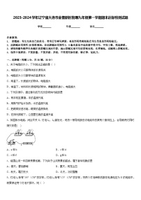 2023-2024学年辽宁省大连市金普新区物理九年级第一学期期末达标检测试题含答案