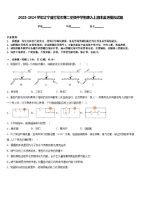 2023-2024学年辽宁省灯塔市第二初级中学物理九上期末监测模拟试题含答案