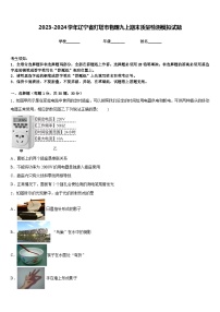 2023-2024学年辽宁省灯塔市物理九上期末质量检测模拟试题含答案