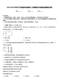 2023-2024学年辽宁省抚顺市抚顺县九上物理期末质量跟踪监视模拟试题含答案