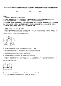 2023-2024学年辽宁省盘锦兴隆台区七校联考九年级物理第一学期期末检测模拟试题含答案