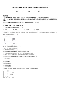 2023-2024学年辽宁省辽阳县九上物理期末达标测试试题含答案