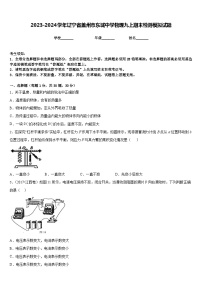 2023-2024学年辽宁省盖州市东城中学物理九上期末检测模拟试题含答案