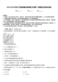 2023-2024学年辽宁省锦州黑山县物理九年级第一学期期末达标测试试题含答案