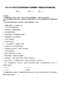 2023-2024学年辽宁省沈阳市铁西区九年级物理第一学期期末综合测试模拟试题含答案