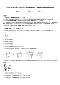 2023-2024学年辽宁省沈阳大东区四校联考九上物理期末质量检测模拟试题含答案