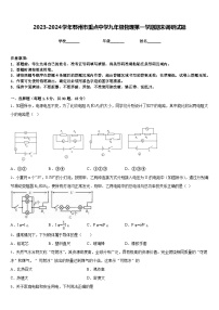 2023-2024学年鄂州市重点中学九年级物理第一学期期末调研试题含答案