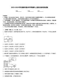 2023-2024学年酒泉市重点中学物理九上期末达标检测试题含答案