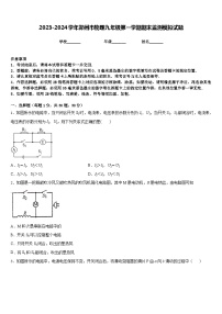 2023-2024学年郑州市物理九年级第一学期期末监测模拟试题含答案