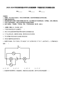 2023-2024学年郑州市重点中学九年级物理第一学期期末复习检测模拟试题含答案