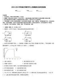 2023-2024学年重庆巴蜀中学九上物理期末达标检测试题含答案