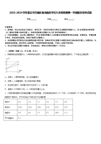 2023-2024学年重庆市巴南区鱼洞南区学校九年级物理第一学期期末统考试题含答案