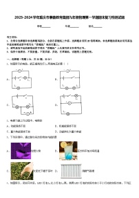 2023-2024学年重庆市兼善教育集团九年级物理第一学期期末复习检测试题含答案