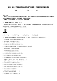 2023-2024学年重庆市巫山县物理九年级第一学期期末调研模拟试题含答案