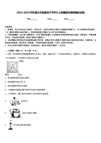 2023-2024学年重庆市双福育才中学九上物理期末调研模拟试题含答案