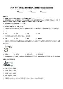 2023-2024学年重庆市两江新区九上物理期末学业质量监测试题含答案