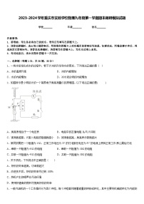 2023-2024学年重庆市实验学校物理九年级第一学期期末调研模拟试题含答案