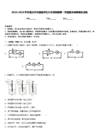 2023-2024学年重庆市外国语学校九年级物理第一学期期末调研模拟试题含答案