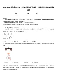 2023-2024学年重庆市全善中学巴南中学物理九年级第一学期期末质量跟踪监视模拟试题含答案