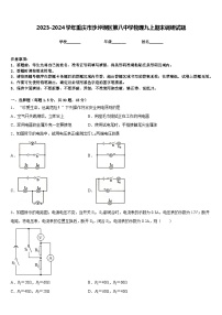 2023-2024学年重庆市沙坪坝区第八中学物理九上期末调研试题含答案