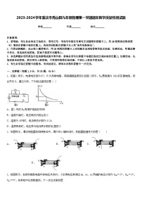 2023-2024学年重庆市秀山县九年级物理第一学期期末教学质量检测试题含答案