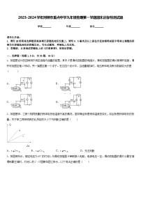 2023-2024学年阿坝市重点中学九年级物理第一学期期末达标检测试题含答案