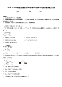 2023-2024学年阿拉善市重点中学物理九年级第一学期期末联考模拟试题含答案