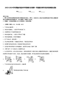 2023-2024学年陇南市重点中学物理九年级第一学期期末教学质量检测模拟试题含答案