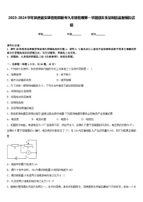 2023-2024学年陕西省安康紫阳县联考九年级物理第一学期期末质量跟踪监视模拟试题含答案