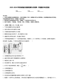 2023-2024学年陕西省合阳县物理九年级第一学期期末考试试题含答案