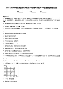 2023-2024学年陕西省师范大附属中学物理九年级第一学期期末统考模拟试题含答案