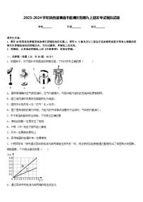 2023-2024学年陕西省渭南市临渭区物理九上期末考试模拟试题含答案