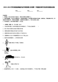 2023-2024学年陕西省渭南市富平县物理九年级第一学期期末教学质量检测模拟试题含答案