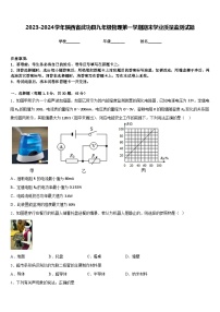 2023-2024学年陕西省武功县九年级物理第一学期期末学业质量监测试题含答案