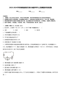 2023-2024学年陕西省西安交通大附属中学九上物理期末检测试题含答案