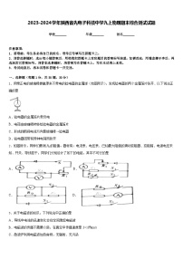 2023-2024学年陕西省先电子科技中学九上物理期末综合测试试题含答案