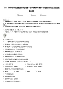 2023-2024学年陕西省西安市东城第一中学物理九年级第一学期期末学业质量监测模拟试题含答案