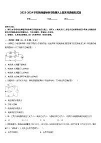 2023-2024学年陕西省榆林市物理九上期末经典模拟试题含答案