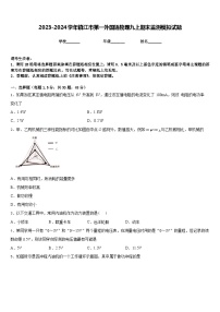 2023-2024学年镇江市第一外国语物理九上期末监测模拟试题含答案