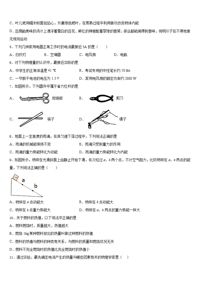 2023-2024学年长沙市重点中学物理九年级第一学期期末达标检测模拟试题含答案02