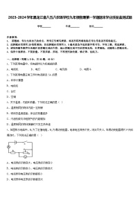 2023-2024学年黑龙江省八五八农场学校九年级物理第一学期期末学业质量监测试题含答案